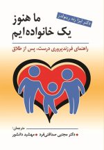 ما هنوز یک خانواده ایم (راهنمای فرزند پروری درست ، پس از طلاق) - تصویر 2